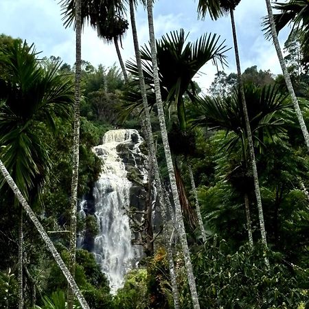 Cozy Homestay Waterfall Road Ella Kültér fotó