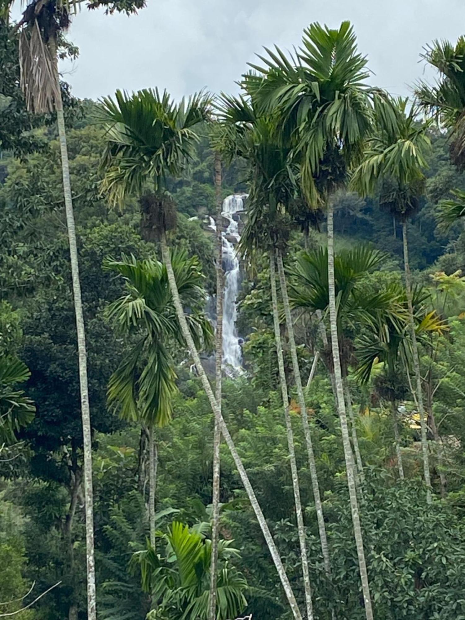 Cozy Homestay Waterfall Road Ella Kültér fotó