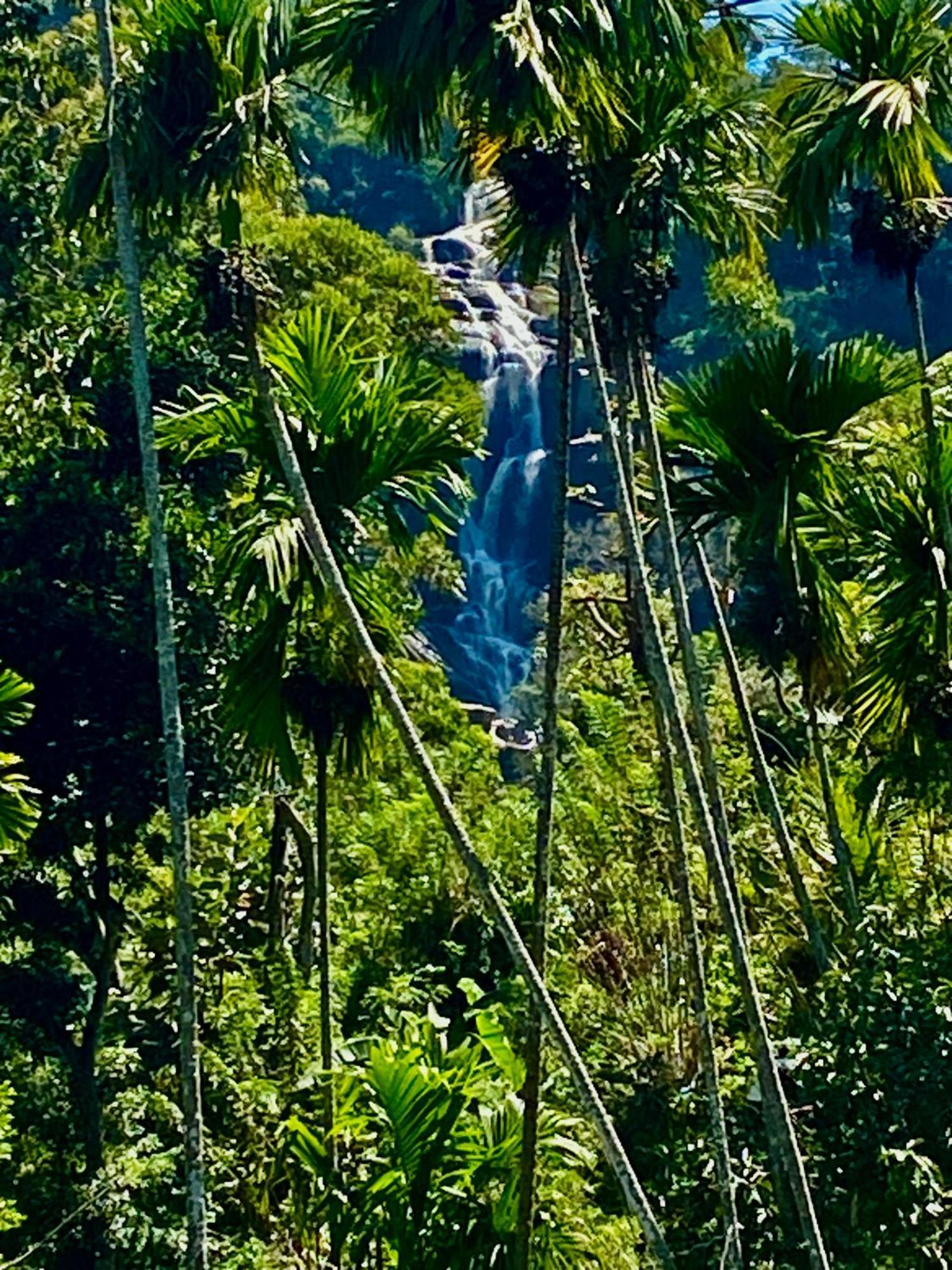 Cozy Homestay Waterfall Road Ella Kültér fotó
