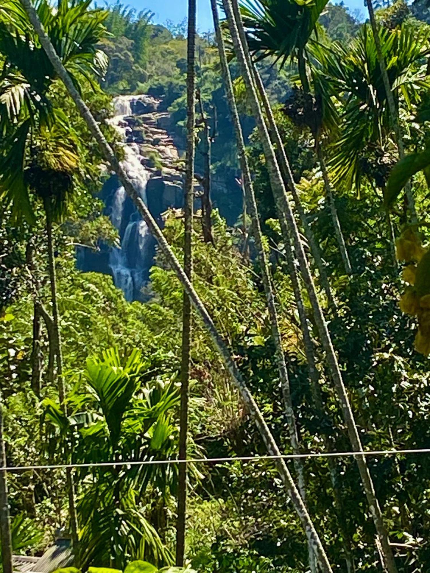 Cozy Homestay Waterfall Road Ella Kültér fotó