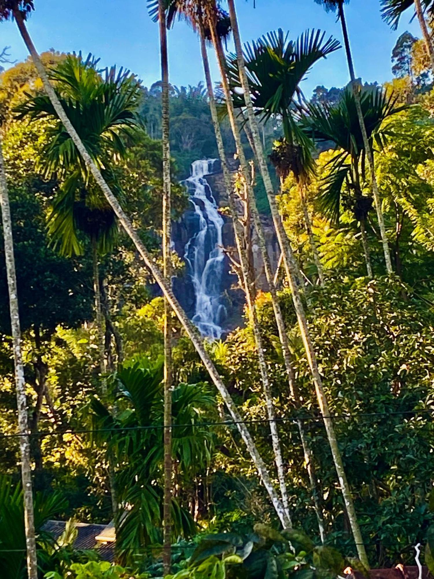 Cozy Homestay Waterfall Road Ella Kültér fotó
