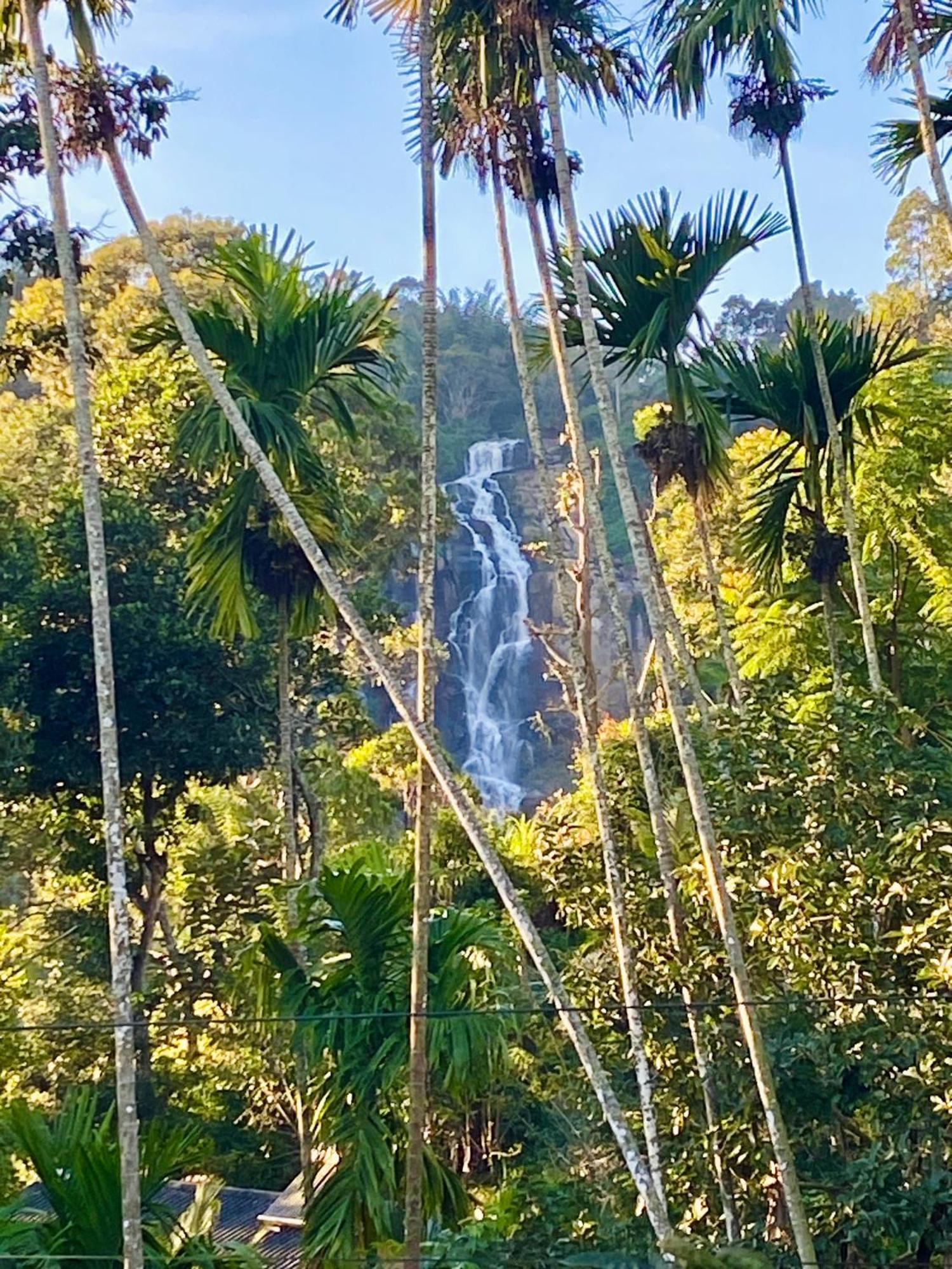 Cozy Homestay Waterfall Road Ella Kültér fotó