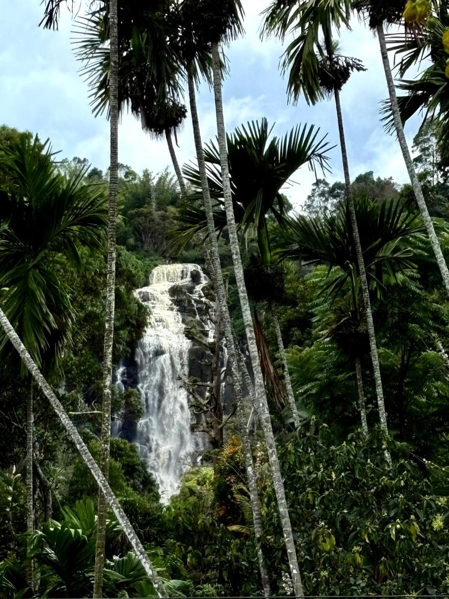 Cozy Homestay Waterfall Road Ella Kültér fotó